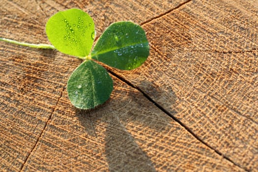 Luck
