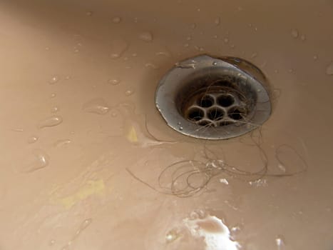Hair down the drain