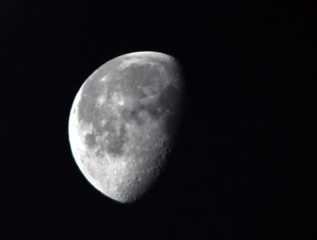 Taken this morning to test the new telephoto. By Raynox DCR2020Pro