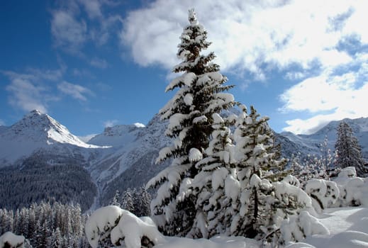 Overnight the snow came...