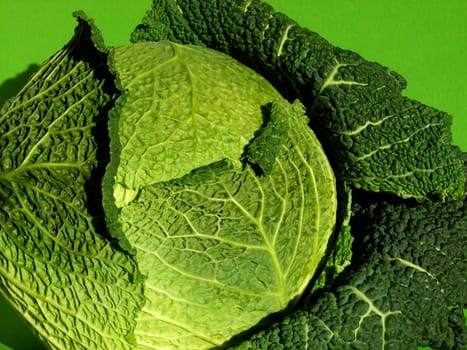 Savoy cabbage