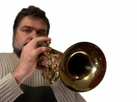 MUSICIAN