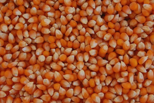 Corn
