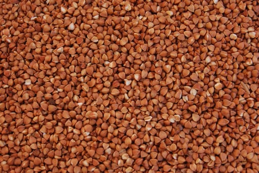 buckwheat