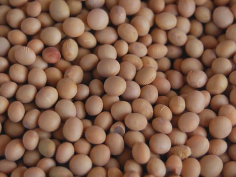 Soybeans
