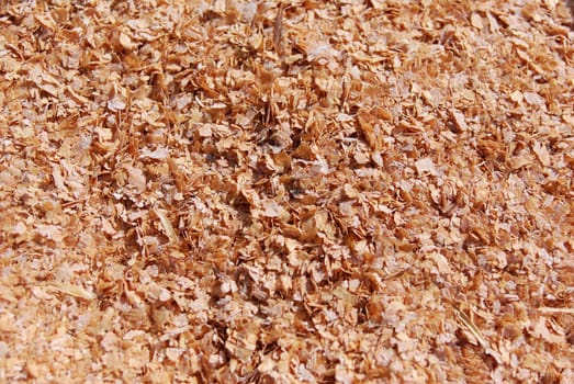 Grain scrap