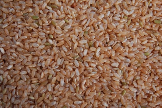 Brown rice