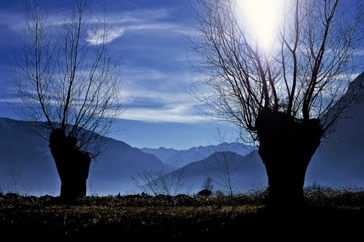 Winter pastures