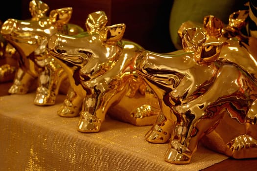 Golden pigs