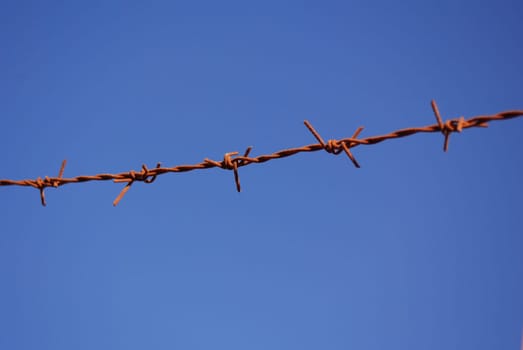 Barbed wire