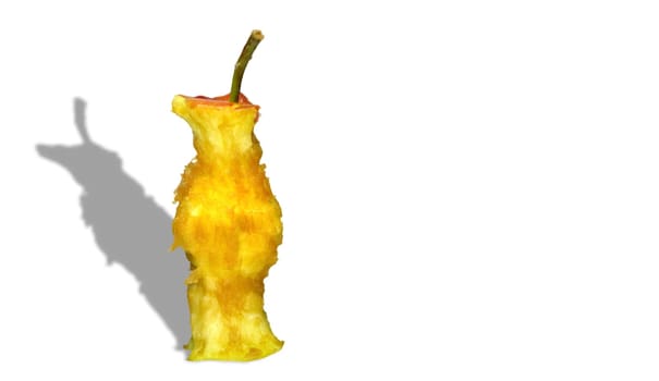 hunger