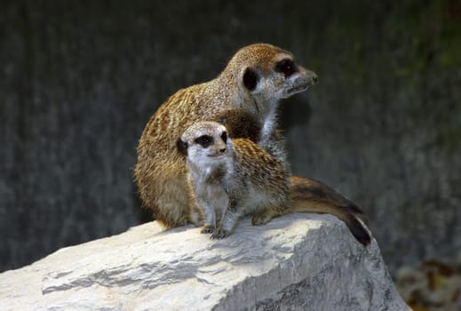 Mother and Child