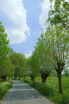 Spring