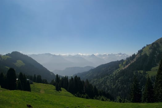 Horns area