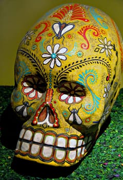 Skull