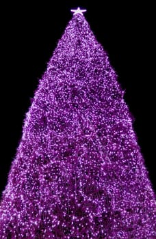 Isn't that a big tree! So that a little Christmas time moves in here again!!