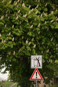 Traffic sign on an avenue