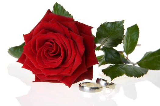 Rose Rings