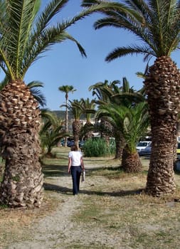 Farewell under palm trees