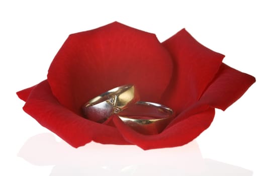 Rings in Rose