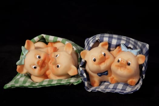 Lucky piggy