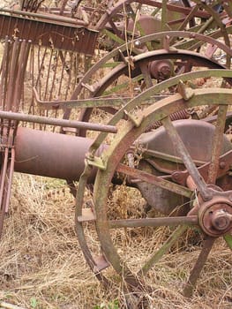 Agriculture