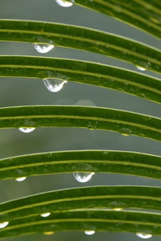Even a downpour can have its charm