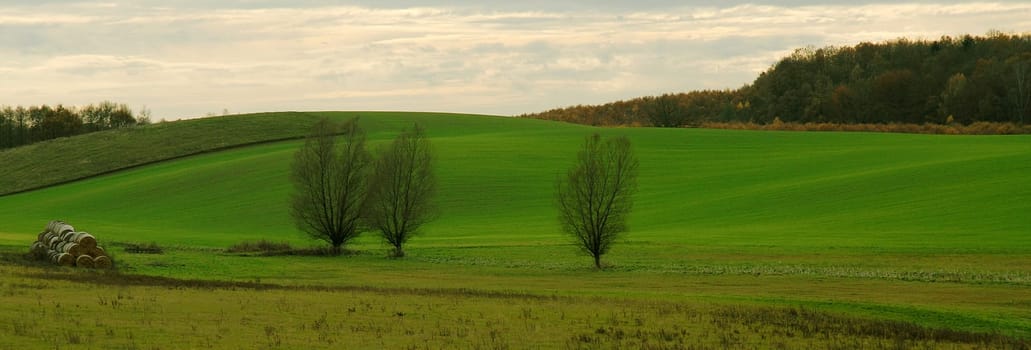 With us it will certainly not be anything with the white Christmas,because the green still has the supremacy here........! And unfortunately also the rain.............! I wish you all a nice weekend!