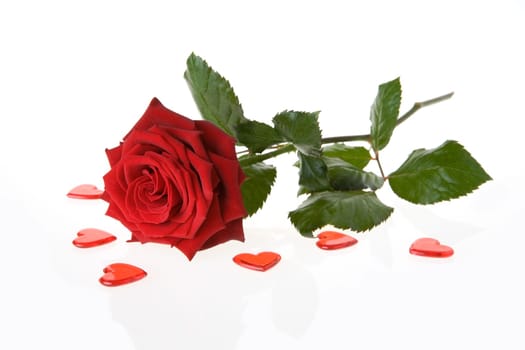 Rose Hearts