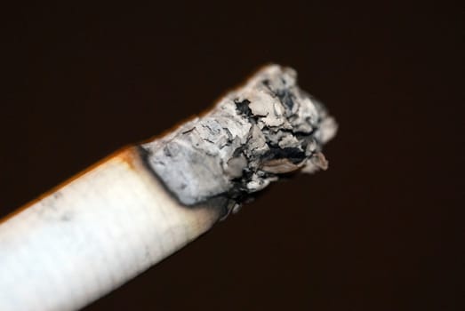 Cigarette