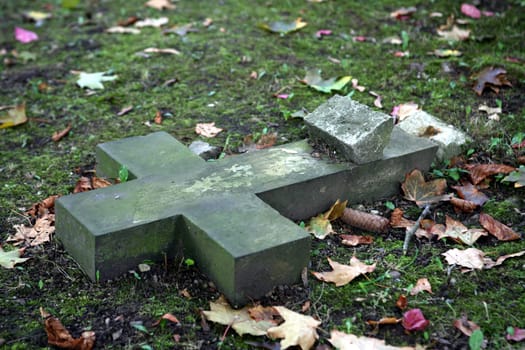 In an old cemetery