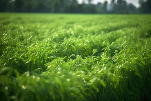 Rows of green crops with selective focus at summer day light. Neural network generated in May 2023. Not based on any actual person, scene or pattern.