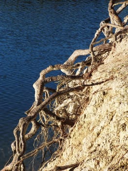 bluff