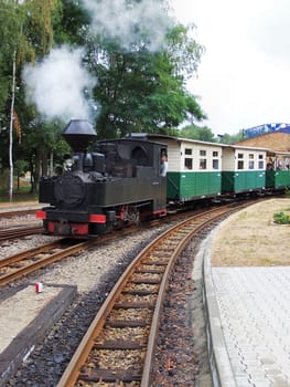 Narrow-gauge train