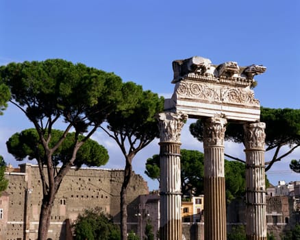 ... in Rome between the Roman Forum and Trajanum - 6x7