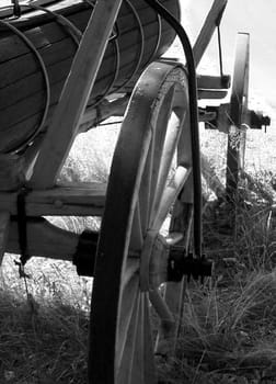 agriculture