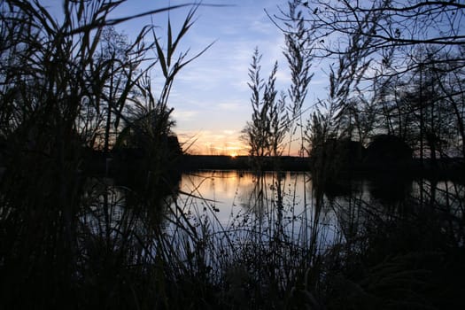 Aperture 9.0 Exposure 1/200 ISO 200 18.0mm Taken 10 days ago at a small pond in Saxony around 4pm