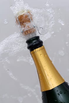 Popping champagne bottle