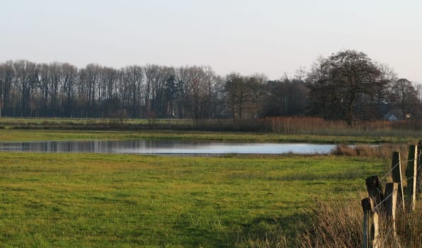 A biotope (from Greek bios = life + topos = place) is a spatially definable small unit of an ecosystem,whereby its abiotic factors (non-animate components) significantly shape a habitat. The in one place (Topo
