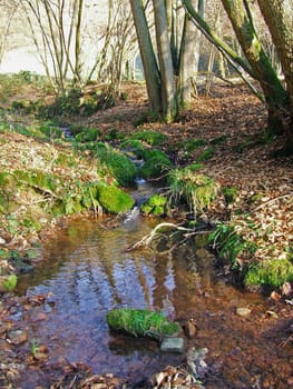 Stream