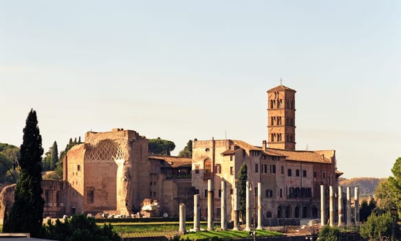 ... View of the Roman Forum from the north - 6x7