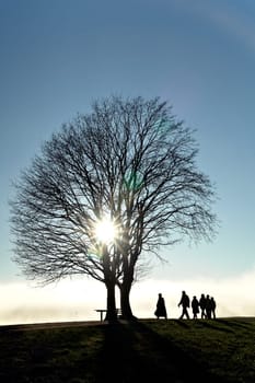 Walk to the clouds