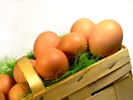 Egg basket