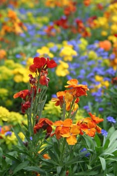 Spring