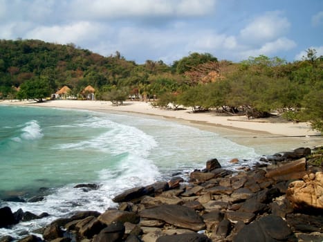 paradisaic