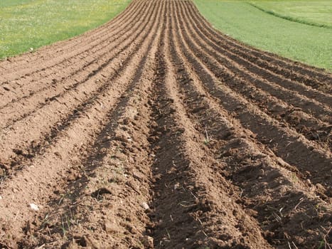 Agriculture