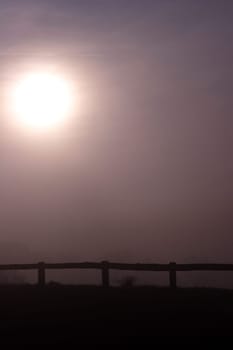 Foggy mood 5