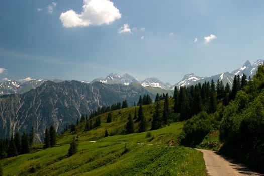View from the Fellhorn
