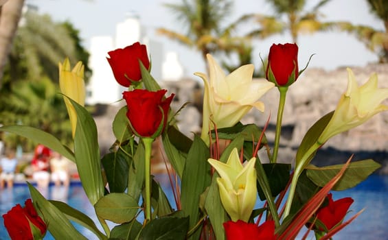 Flowers under palm trees