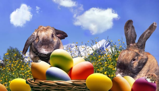 Rabbit happiness